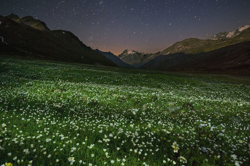 منظره هایی از شب